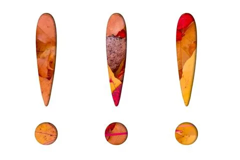 Autumn leaves, objects with Exclamation mark text. Natural patterns, color .. 스톡 사진