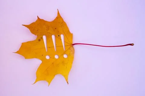 Autumn leaves, objects with Exclamation mark text. Natural patterns, color .. Stockfoto's