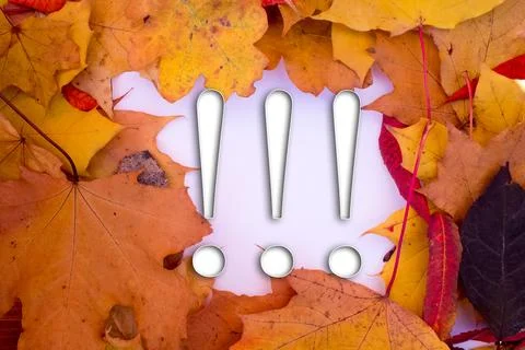 Autumn leaves, objects with Exclamation mark text. Natural patterns, color .. 스톡 사진
