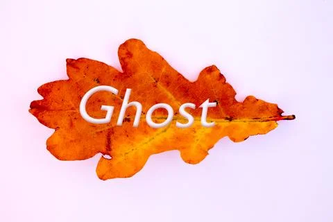 Autumn leaves, objects with Ghost text. Natural patterns, color design. 스톡 사진