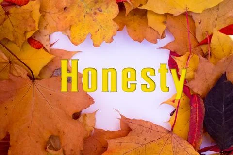 Autumn leaves, objects with Honesty text. Natural patterns, color design. Stock Illustration