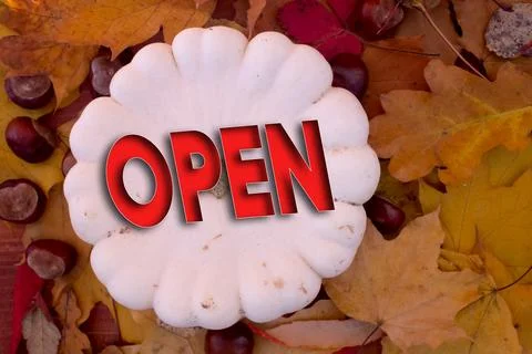 Autumn leaves, objects with Open text. Natural patterns, color design. Stock Photos