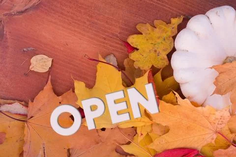 Autumn leaves, objects with Open text. Natural patterns, color design. Stock Photos