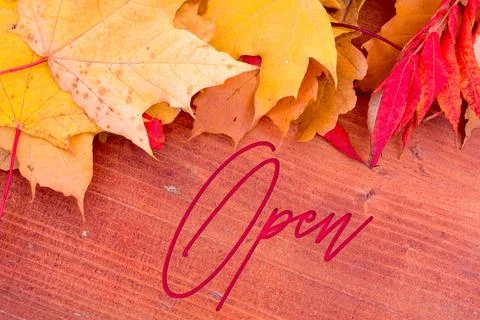 Autumn leaves, objects with Open text. Natural patterns, color design. 스톡 사진