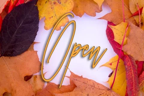 Autumn leaves, objects with Open text. Natural patterns, color design. Stock Photos