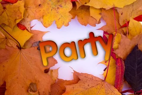 Autumn leaves, objects with Party text. Natural patterns, color design. 스톡 사진