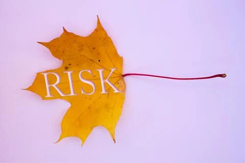 Autumn leaves, objects with Risk text. Natural patterns, color design. 스톡 사진