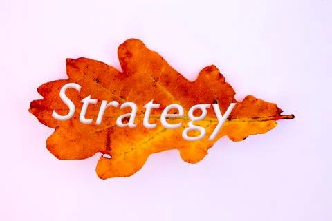 Autumn leaves, objects with Strategy text. Natural patterns, color design. 스톡 사진