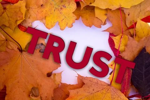 Autumn leaves, objects with Trust text. Natural patterns, color design. Stock Illustration