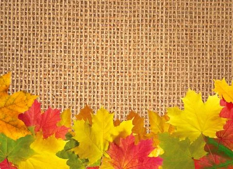 Autumn leaves over linen texture background Stock Photos