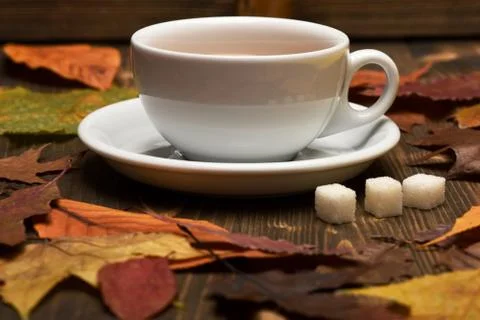Autumn leaves pattern with coffee or tea cup Stock Photos