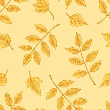 Autumn leaves pattern. Fall season different tree foliage yellow and red hand Stock Illustration