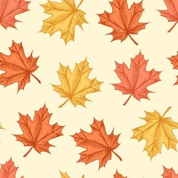 Autumn leaves pattern. Fall season different tree foliage yellow and red hand Stock Illustration