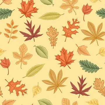 Autumn leaves pattern. Fall season different tree foliage yellow and red hand Illustrazione stock