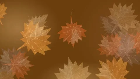 Autumn leaves pattern overlay, stylized fall foliage design for seasonal ma.. 動画素材 348115472