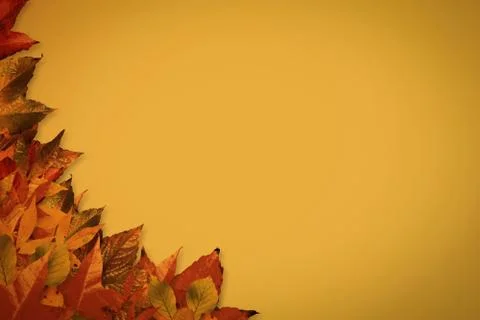 Autumn leaves pattern Stock Photos