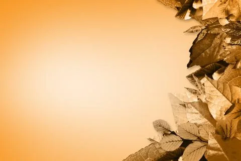 Autumn leaves pattern Stock Photos