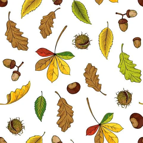 Autumn leaves pattern. Seamless texture with yellow oak and maple foliage. Red Stock Illustration