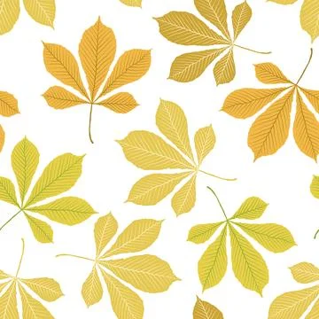 Autumn leaves pattern on white background, vector Stockillustratie