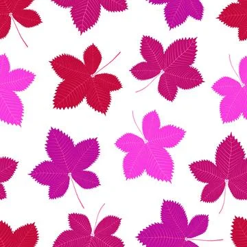 Autumn leaves pattern on white background, vector Stock Illustration