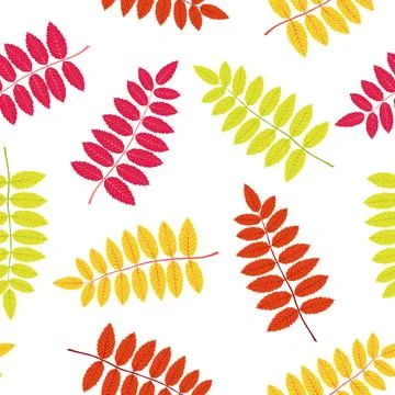 Autumn leaves pattern on white background, vector Stock Illustration