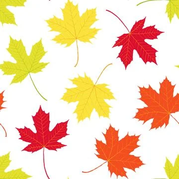 Autumn leaves pattern on white background, vector Stock Illustration