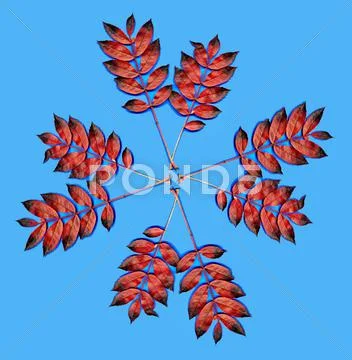 Autumn leaves Stock Photos