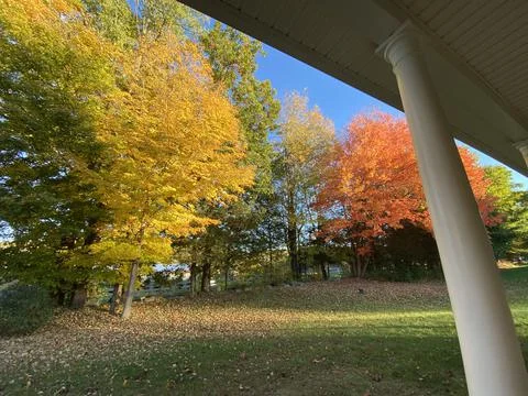 Autumn Leaves Stock Photos