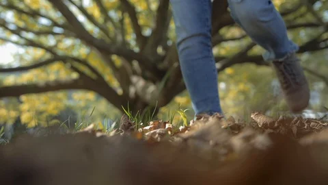 Autumn Leaves Playing Stock-Footage 129855347