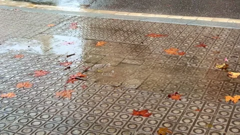 Autumn leaves in a puddle on a patterned sidewalk on rainy day, Barcelona, Spain Stock Footage 330923361