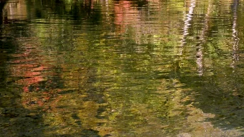 Autumn leaves reflected on the surface of the river Stock Footage 145176214