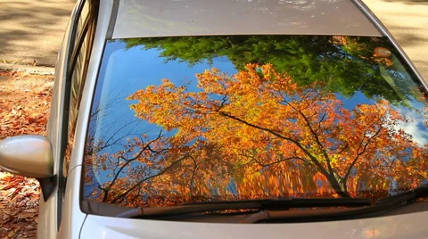 Autumn leaves reflected in the window of the car. Stock Footage 44123975