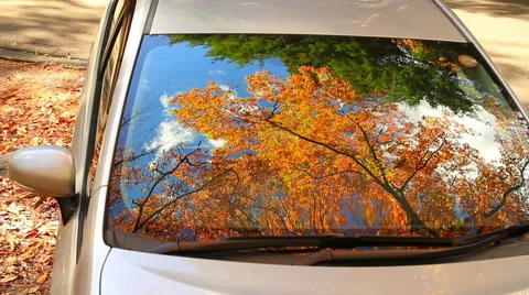 Autumn leaves reflected in the window of the car. Stock Footage 44124001