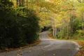 Autumn leaves road Foto