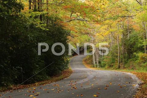 Autumn leaves road Foto stock