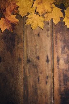 Autumn leaves on rustic wooden background. Top view with copy space. Stock Photos