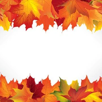 Autumn leaves seamless border. Fall maple leaf floral background Stock Illustration