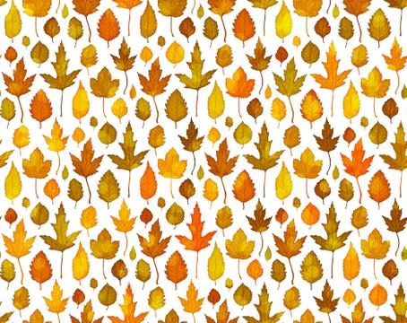 Autumn leaves seamless pattern background vector Illustrazione stock