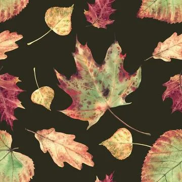 Autumn leaves seamless pattern from deciduous trees. Watercolor Realistic hand Stock Illustration