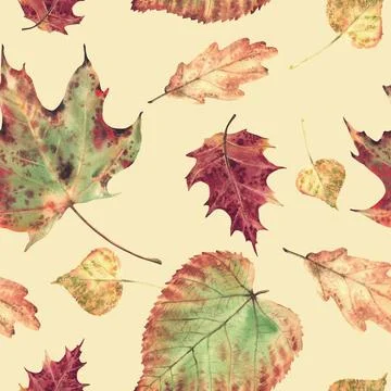 Autumn leaves seamless pattern from deciduous trees. Realistic hand drawn Stock Illustration