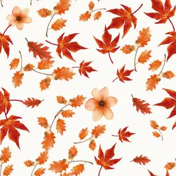 Autumn leaves seamless pattern with maple foliage and acorns on transparent.. Stock Illustration