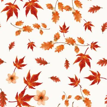 Autumn leaves seamless pattern with maple and oak foliage on transparent ba.. Stock Illustration