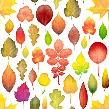 Autumn leaves seamless pattern vector background Stock Illustration