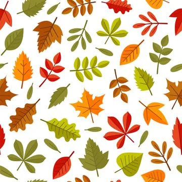 Autumn Leaves Seamless Pattern on White Background. Vector Illustration