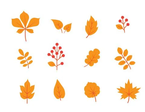 Autumn leaves set. Fall leaf and berries icons. Floral nature symbols Illustrazione stock
