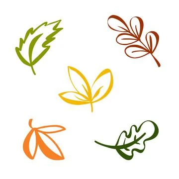 Autumn leaves set. Fall leaf nature icons over white background. Nature floral Ilustração Stock