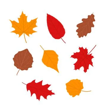 Autumn leaves set, flat vector illustration Stock Illustration