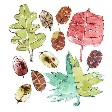 Autumn Leaves Set Stock Illustration