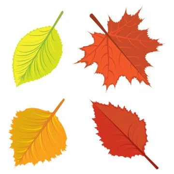 Autumn leaves set Ilustração Stock