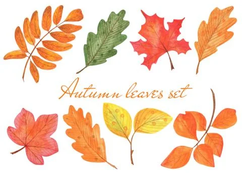 Autumn leaves set Illustrazione stock